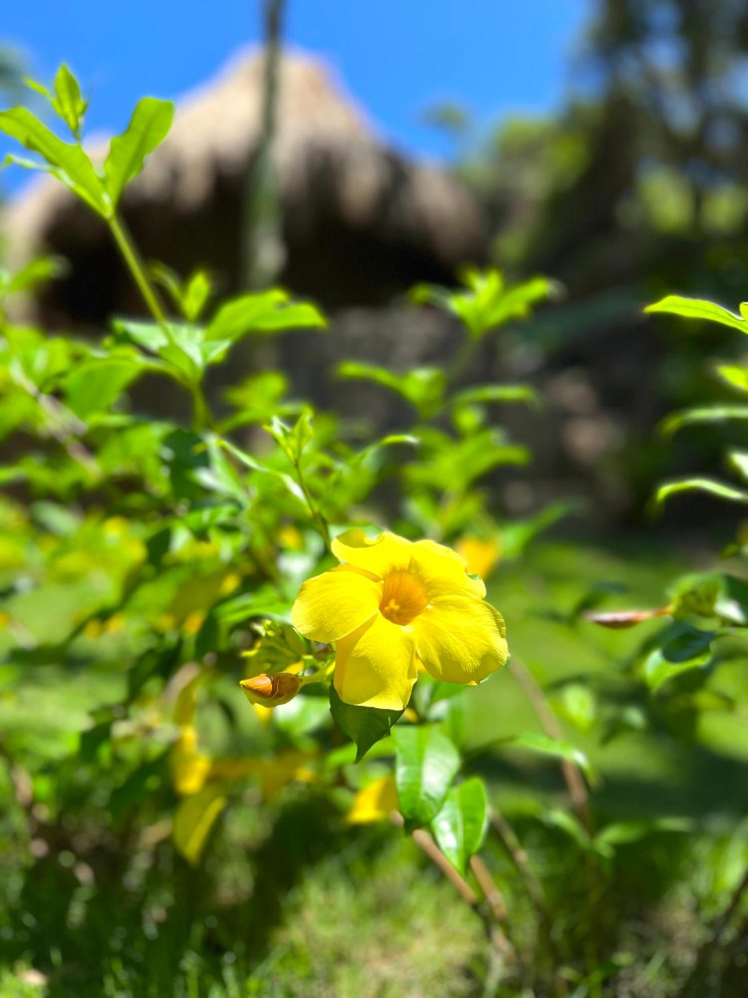 Zirwa Hotel Boutique - Dentro Del Parque Tayrona El Zaino Zewnętrze zdjęcie